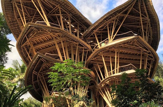 'Biệt thự tre” tuyệt đẹp giữa rừng